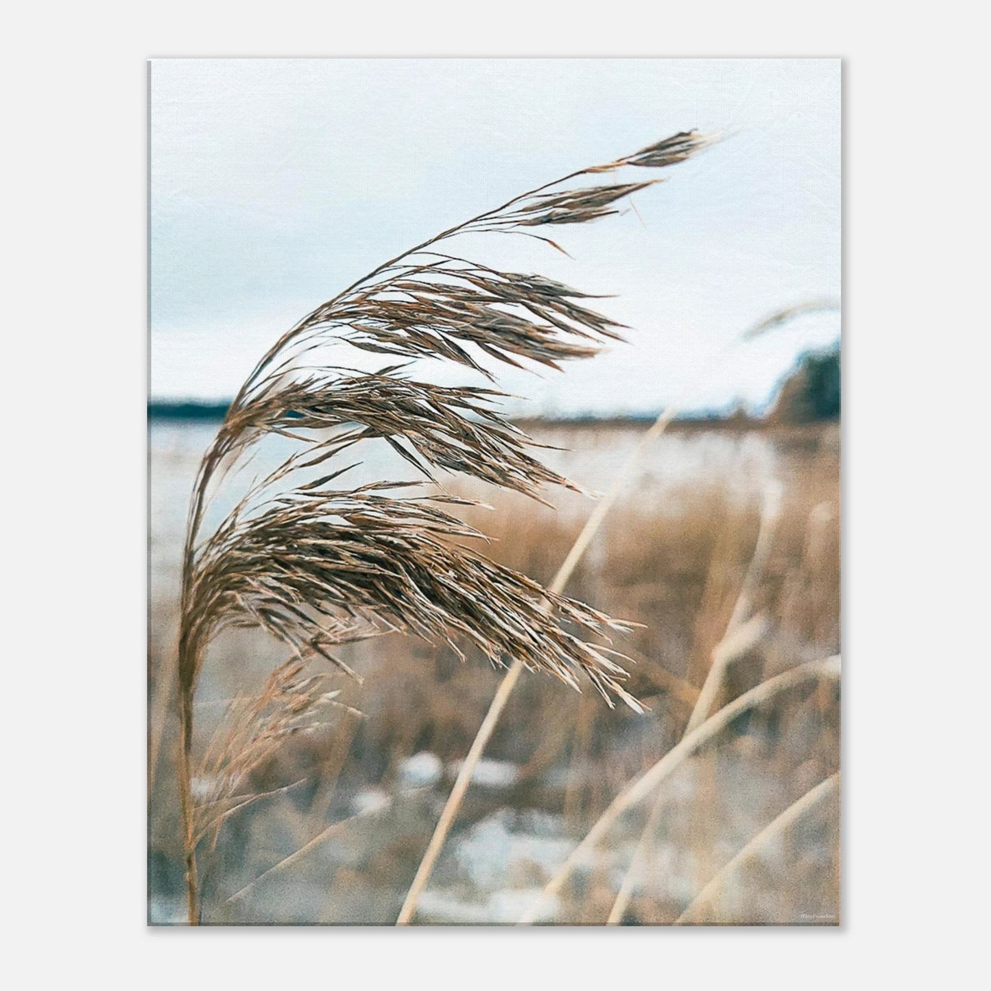 5d7734ed-1c1c-4013-af58-51e2504dbe89