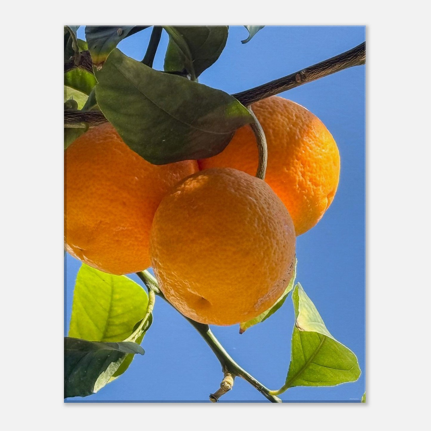 5d8b28bc-0921-451c-8ab4-3ed82082073d