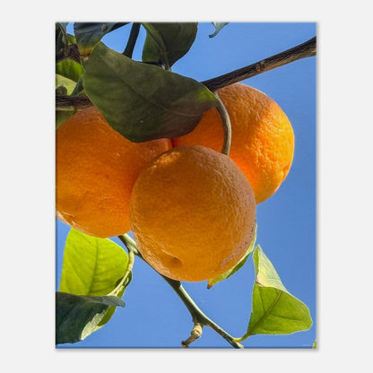 5d8b28bc-0921-451c-8ab4-3ed82082073d