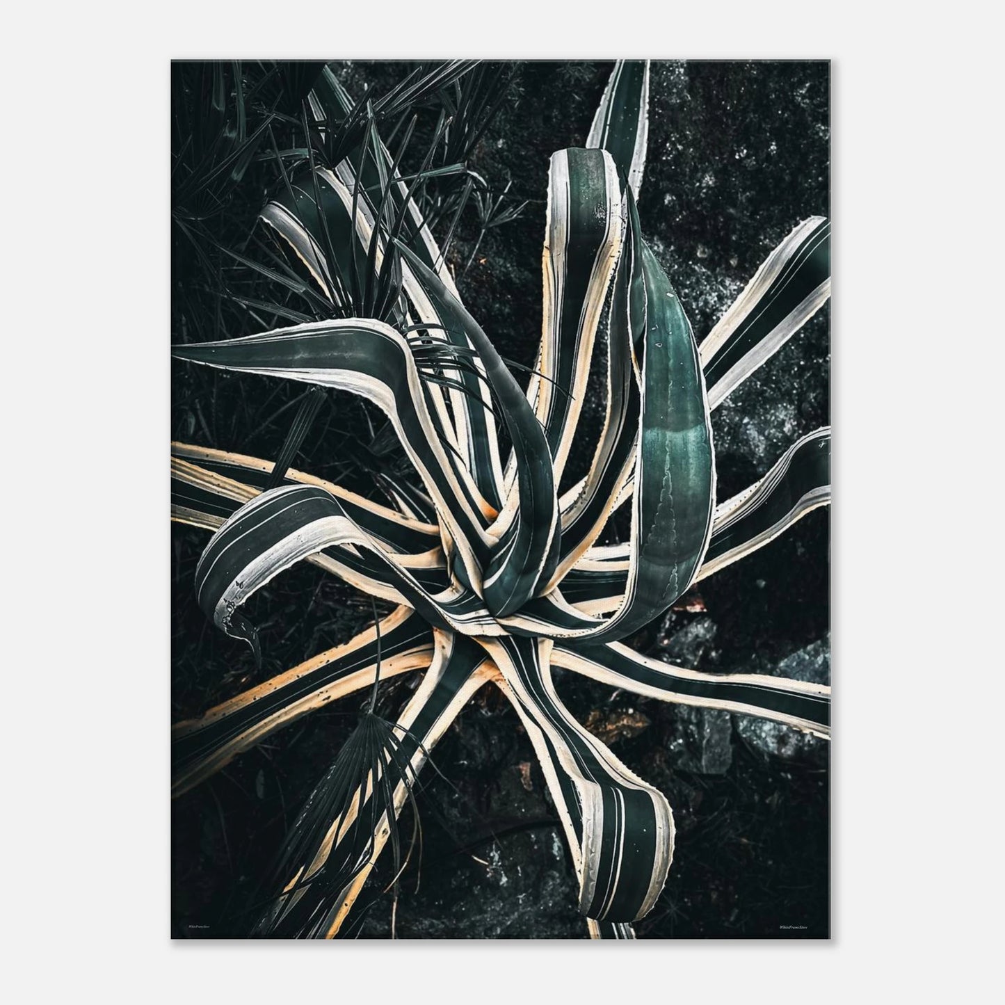 5d9d5b0b-7ba8-4a4e-bba1-565c030837d9