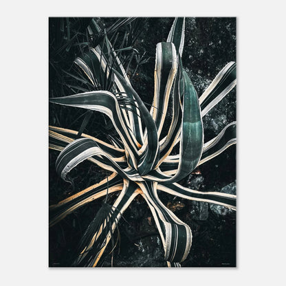 5d9d5b0b-7ba8-4a4e-bba1-565c030837d9