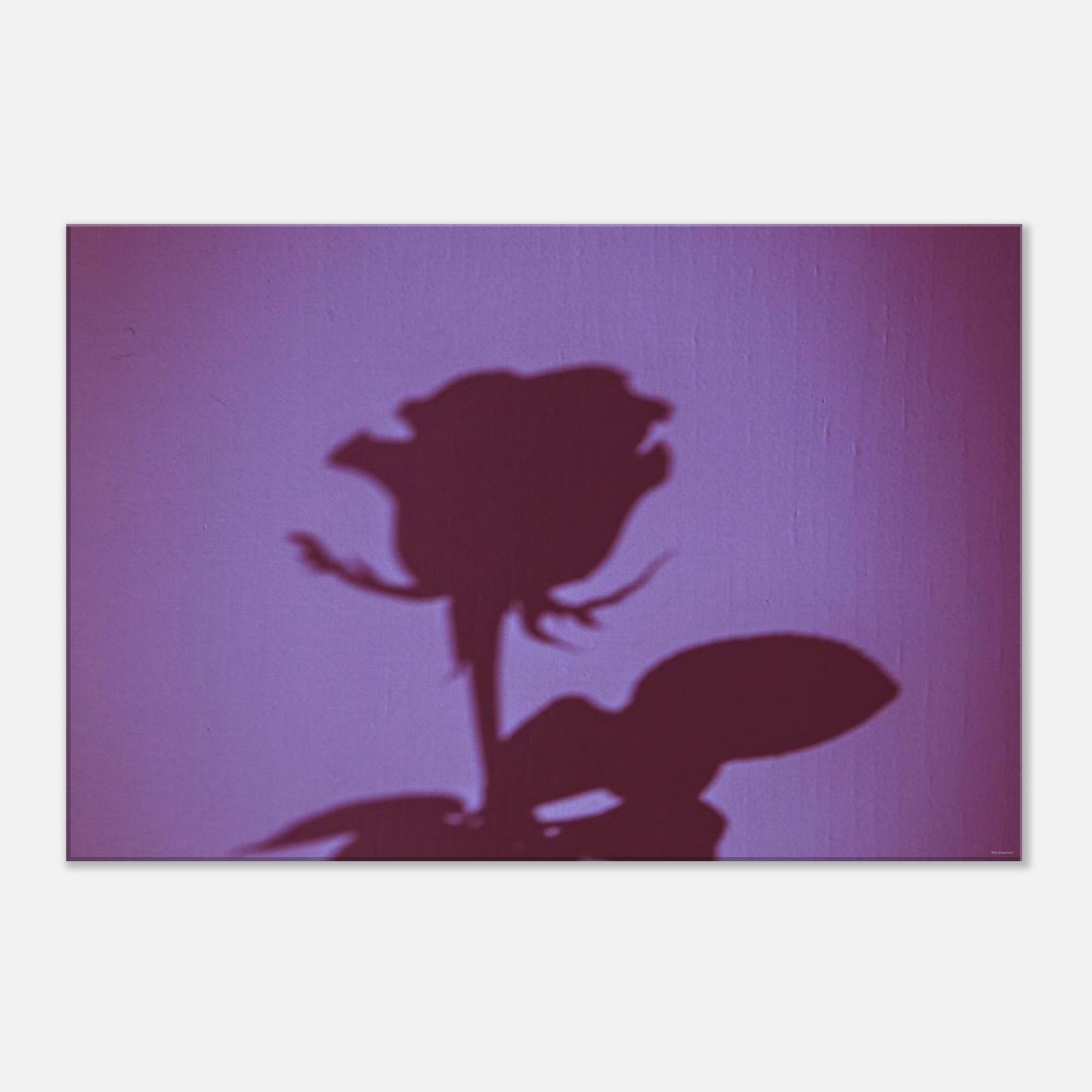 5da5b64c-3d90-49ae-abc3-d815d5146884