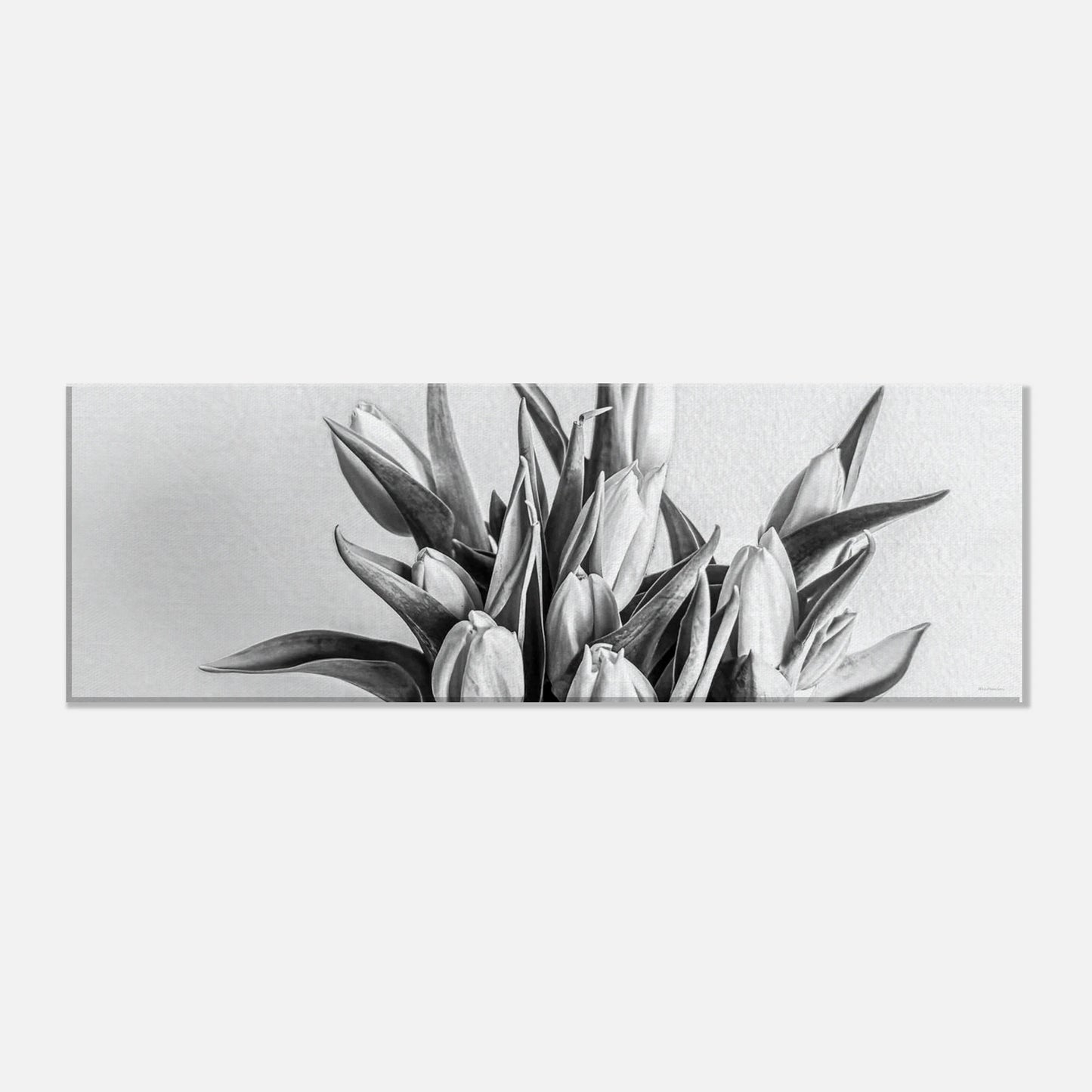 5daf8ef4-7805-4d7c-9e2c-27095cd32fc0