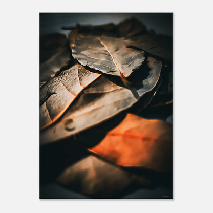 5dcc08b2-b153-417d-934f-e77fa3fb529d