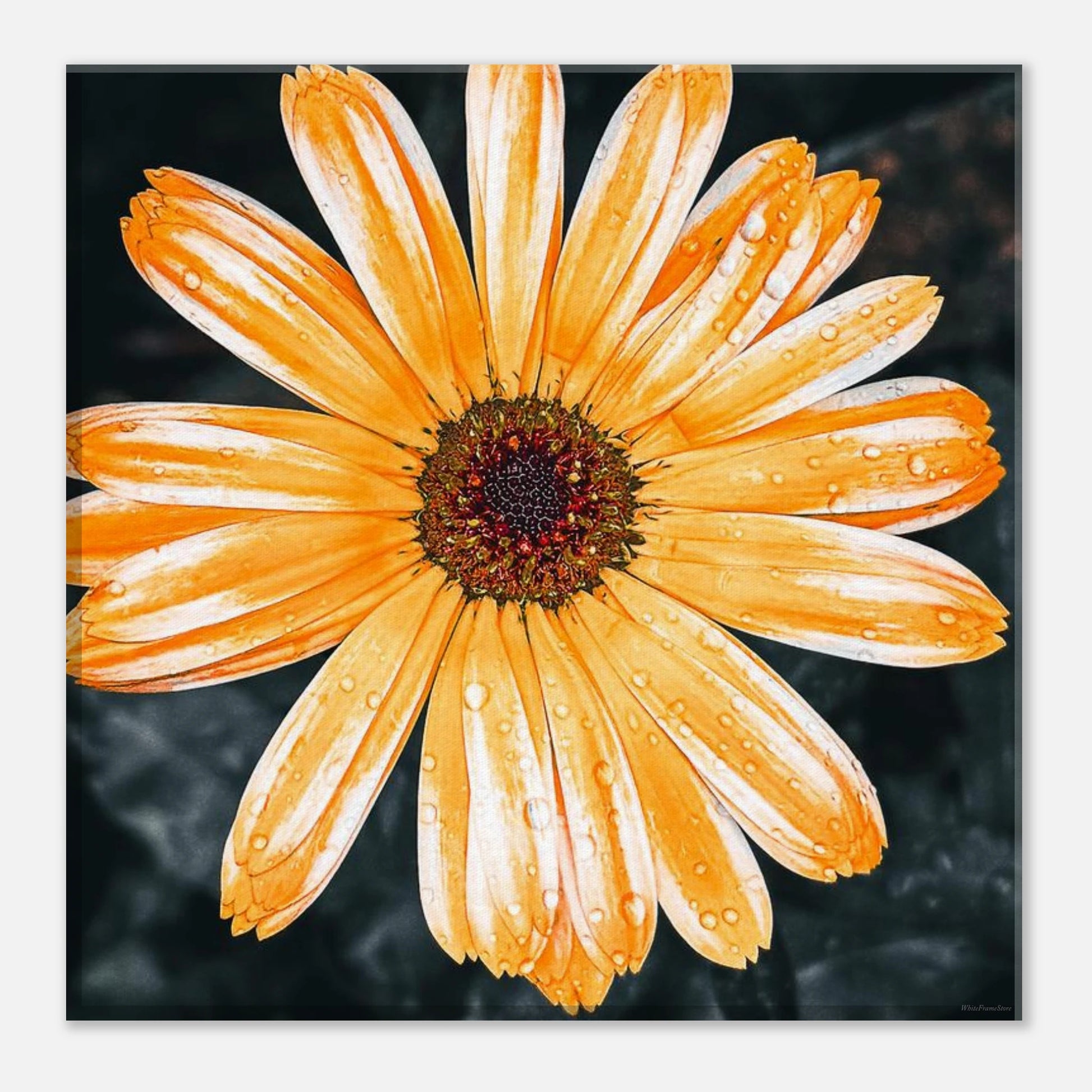 5dd15ba7-2cae-42e2-9ade-2cac7a60a0ee