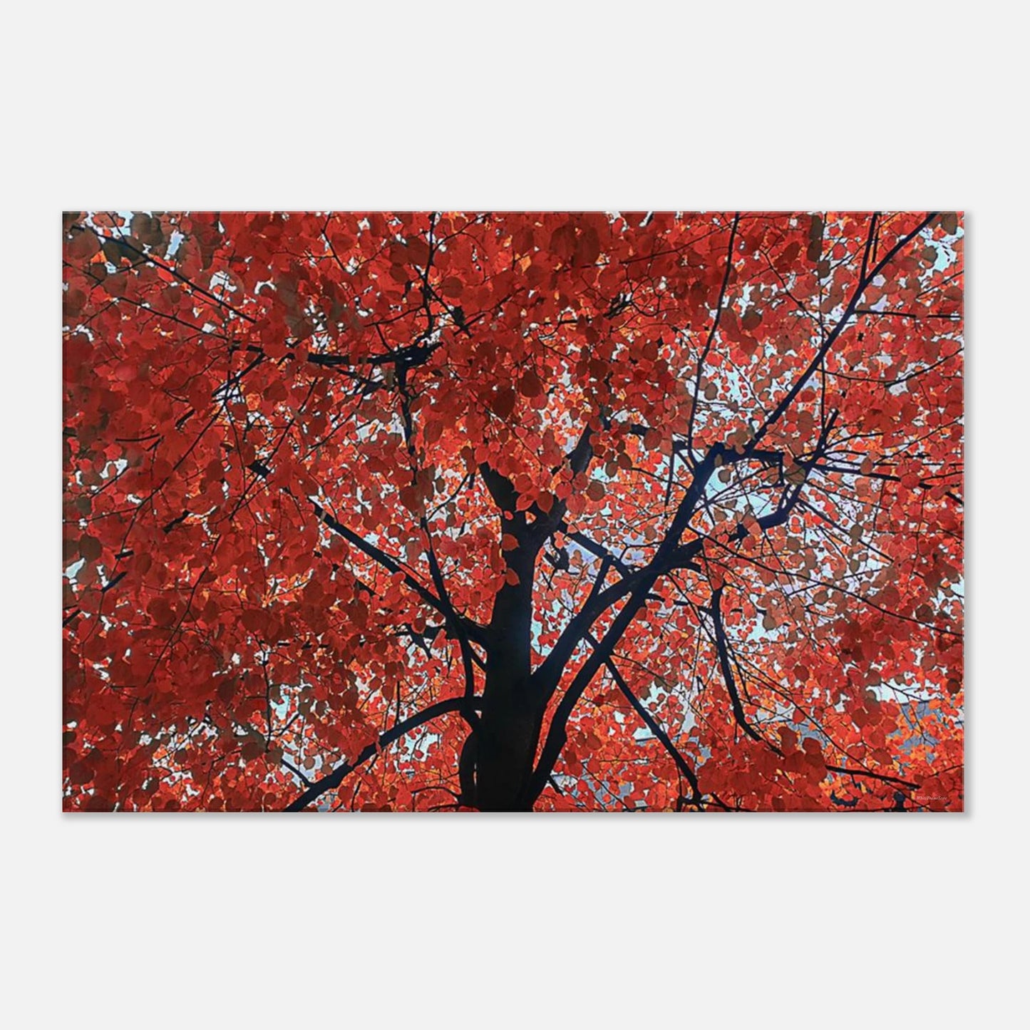 5ddcf92a-a5e6-4df2-9c60-933d4bd73bf5