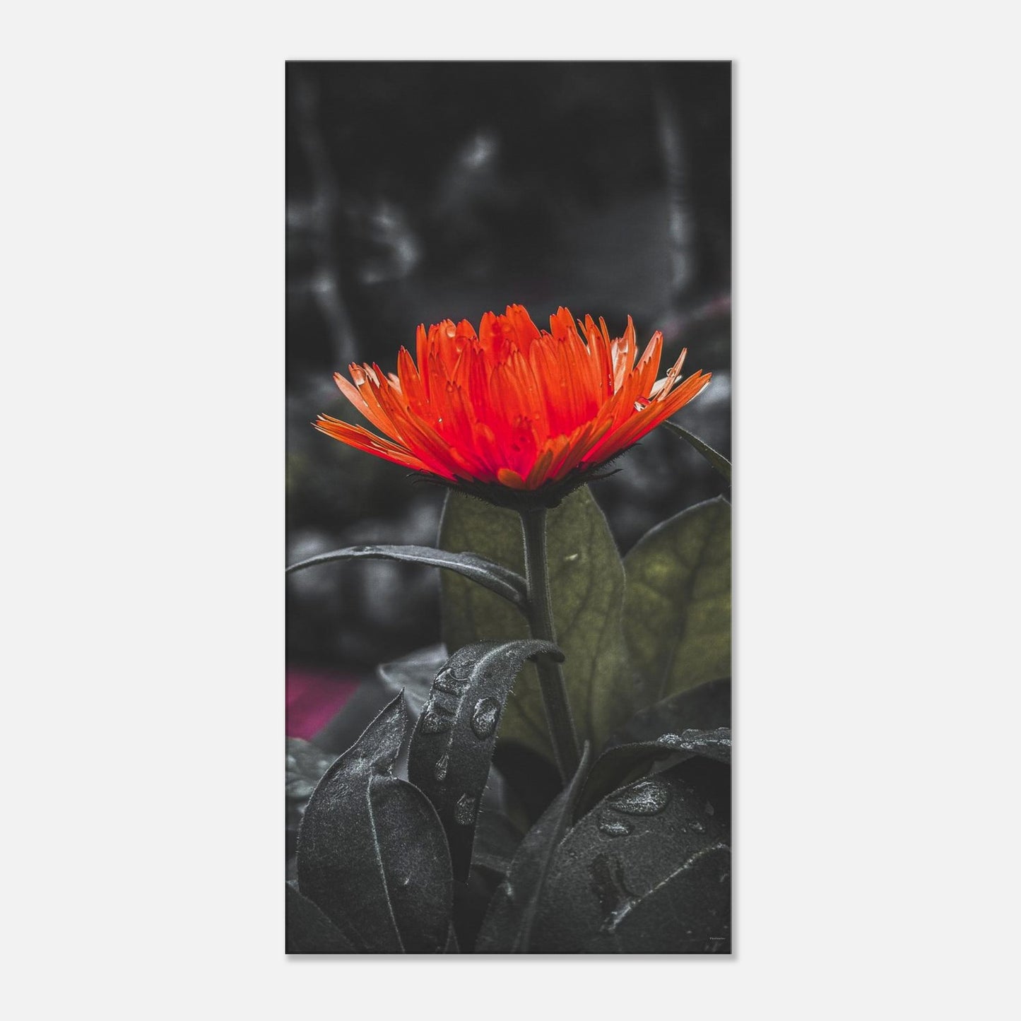 5dece732-5654-4efb-8521-fb6a750a46e6