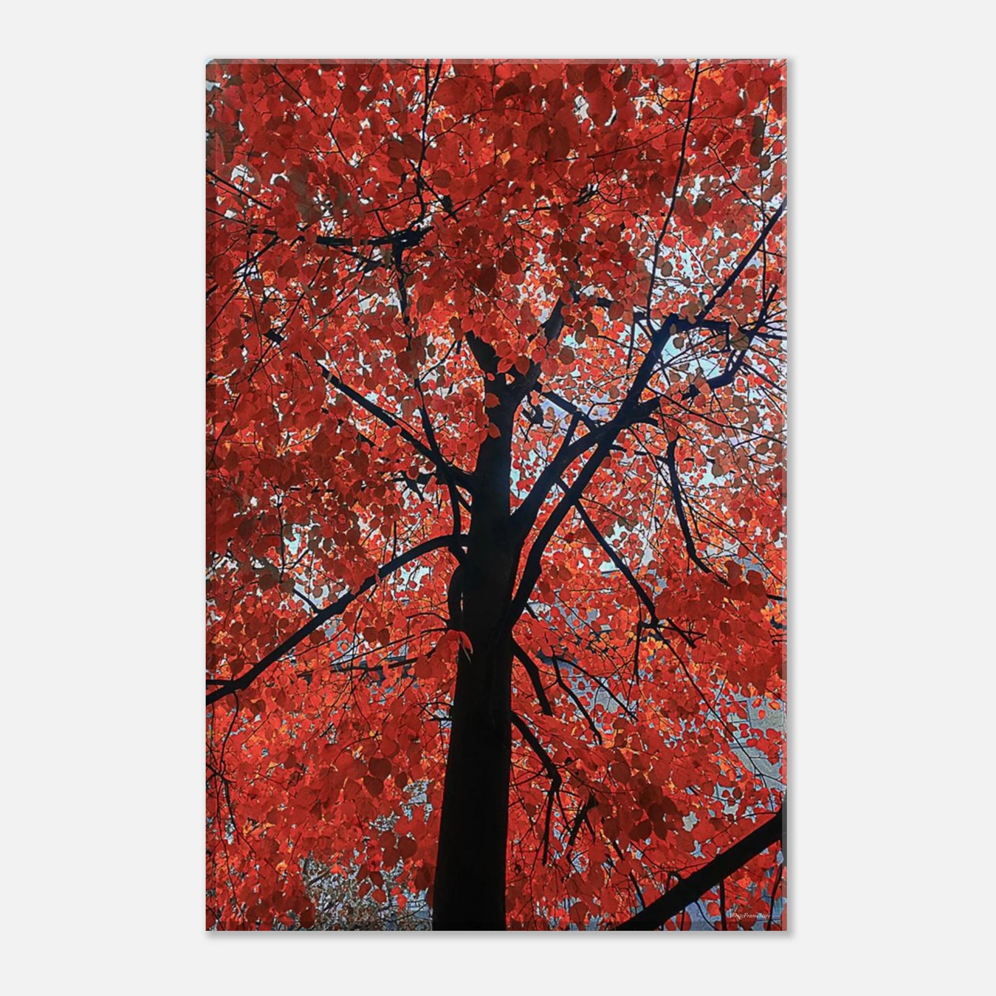 5ea103e0-4957-43e1-9436-36ba0f4ddf23