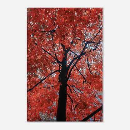 5ea103e0-4957-43e1-9436-36ba0f4ddf23