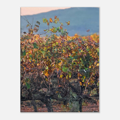 5eb97fb4-7ca0-4852-8211-6983da0b9c73