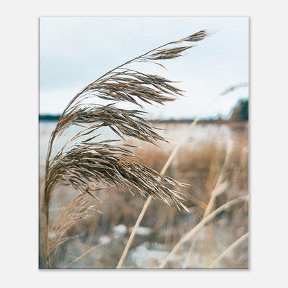 5ee1fce8-61e5-473f-8a19-70343bc32488