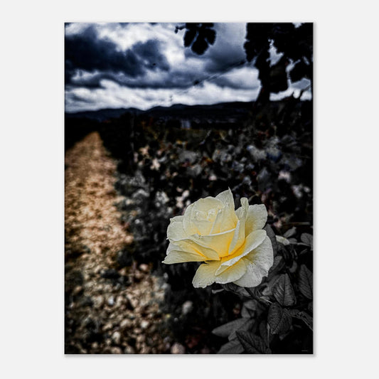 5ef640a6-38f7-4b1c-a69e-03d7f1795d20