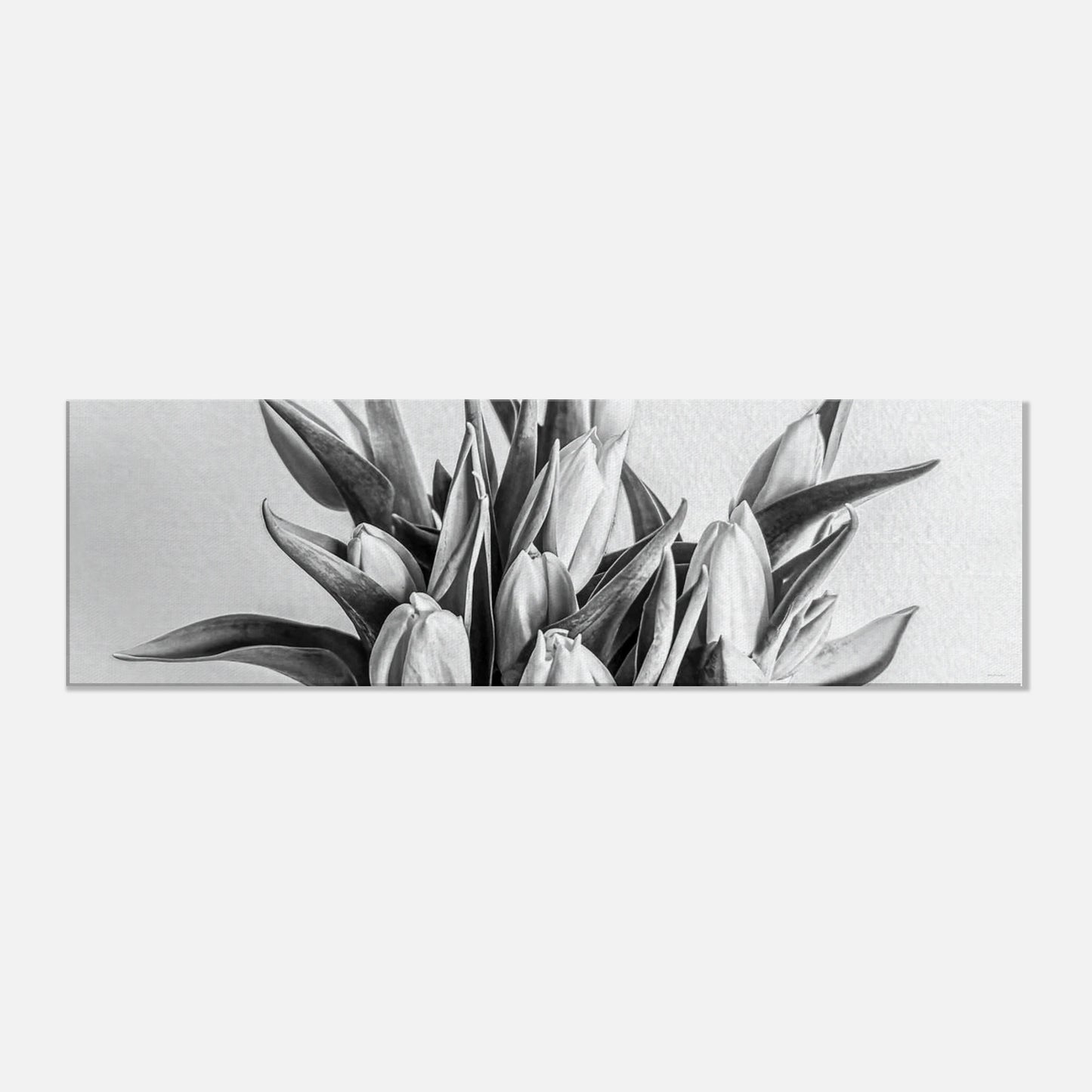 5f312c1e-4b3a-40b6-bb06-87005c56c1b0