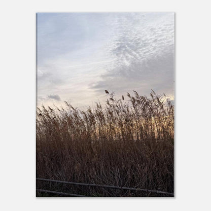 5f3d7def-7dae-4b2e-8d69-6d119e31a11c