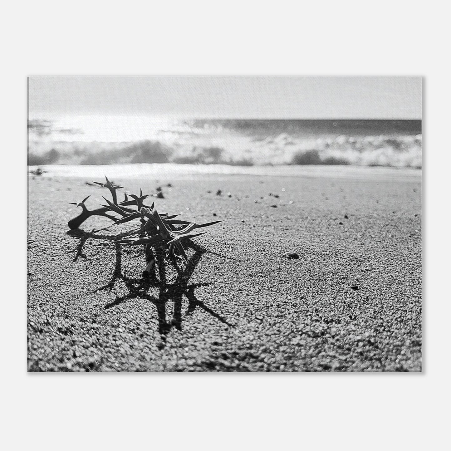 5f6a6fca-a031-4bea-b083-1acf39243d08