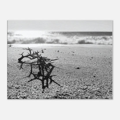 5f6a6fca-a031-4bea-b083-1acf39243d08