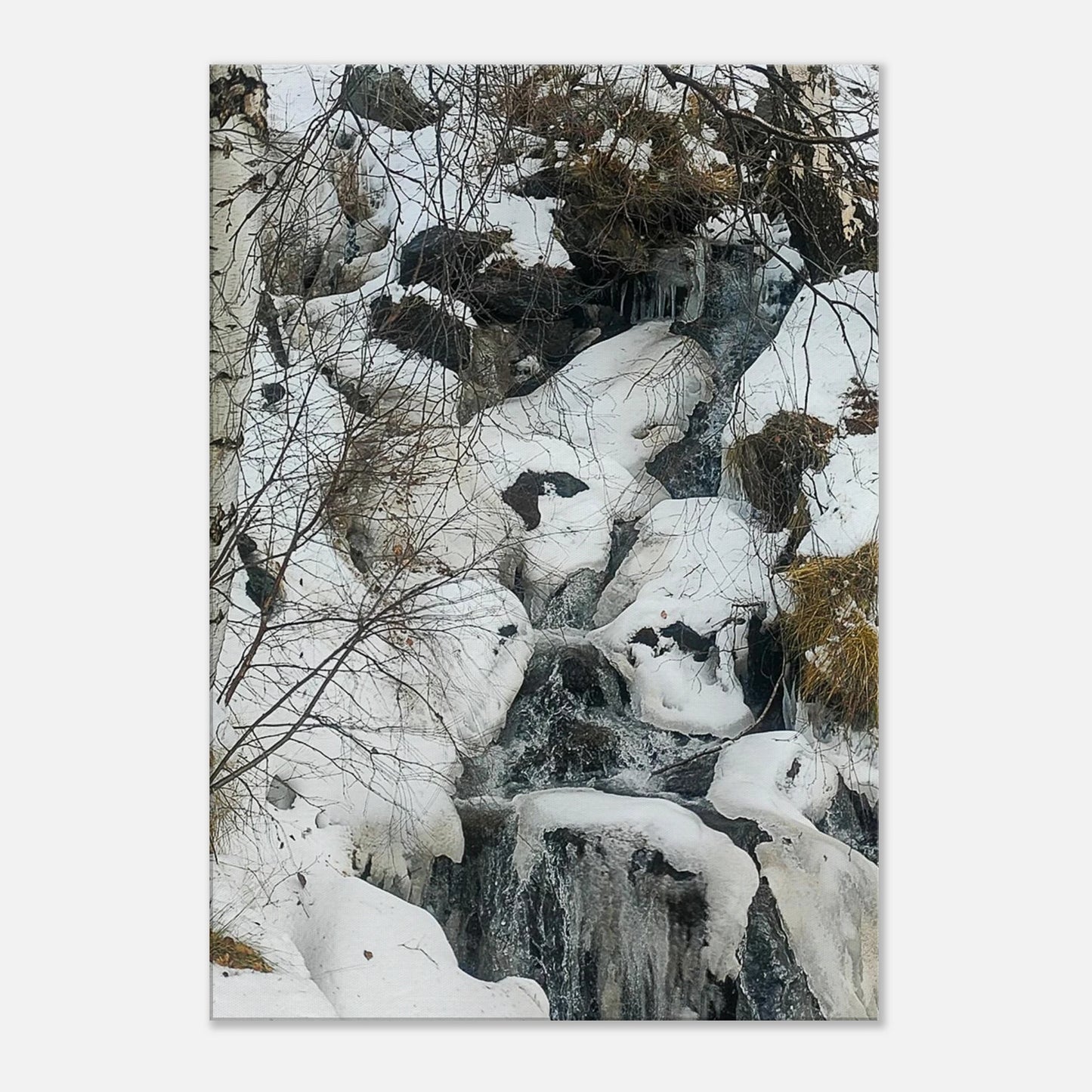 5f750ef6-244d-4e74-8da2-212aa0027db0