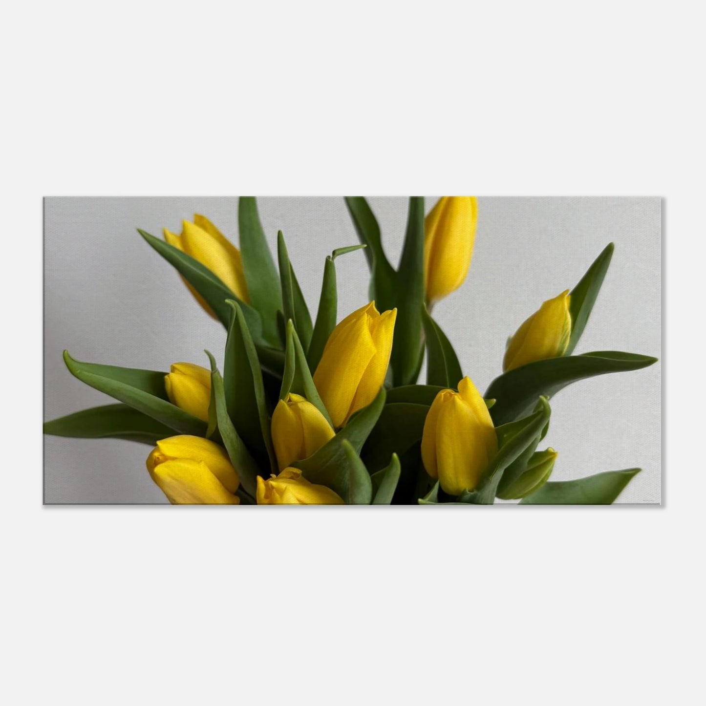 5f7abebe-c8f8-4d50-bfdb-11296f582e14