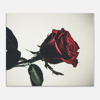 5fa2b548-3763-4ae5-9c69-7c14f2244408