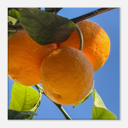 60032ebe-c72d-4c7f-a6d8-bb3911ab7a42