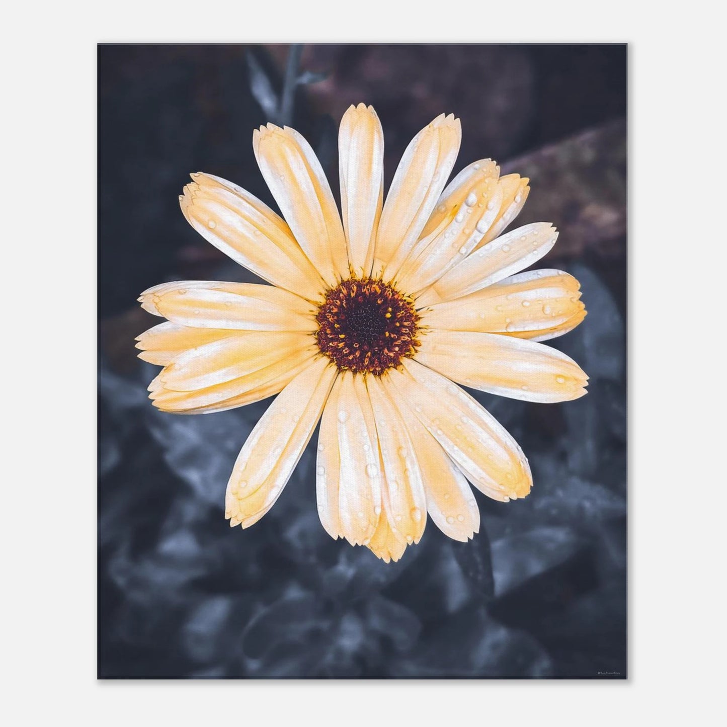 6029d6db-a17c-47bd-b40f-6ae74fffc59a