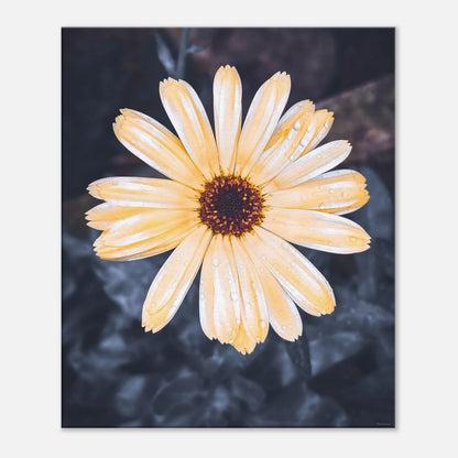 6029d6db-a17c-47bd-b40f-6ae74fffc59a