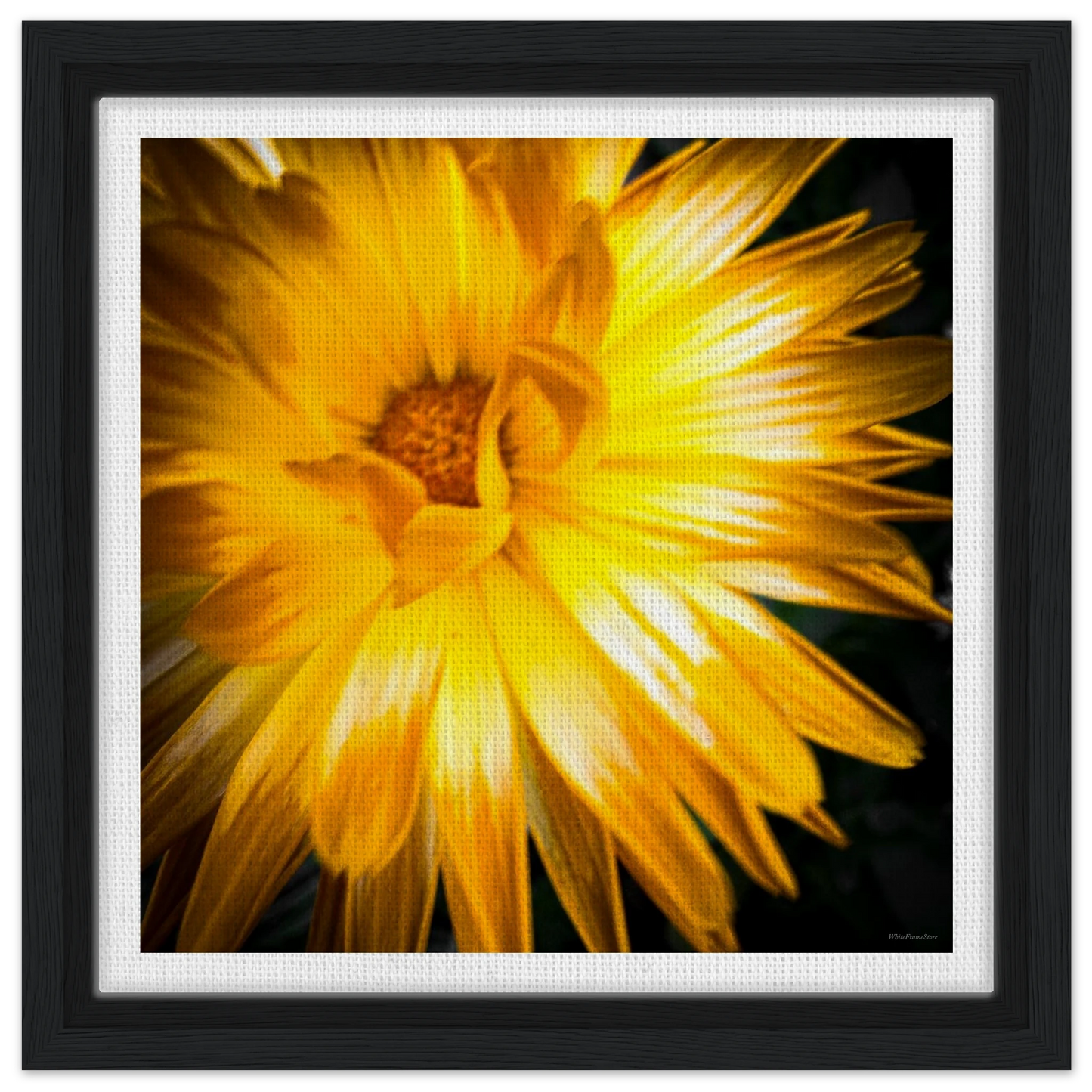 605d01c2-bd86-46cf-aca7-bf19dc40e2c1