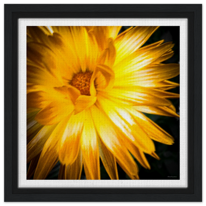 605d01c2-bd86-46cf-aca7-bf19dc40e2c1