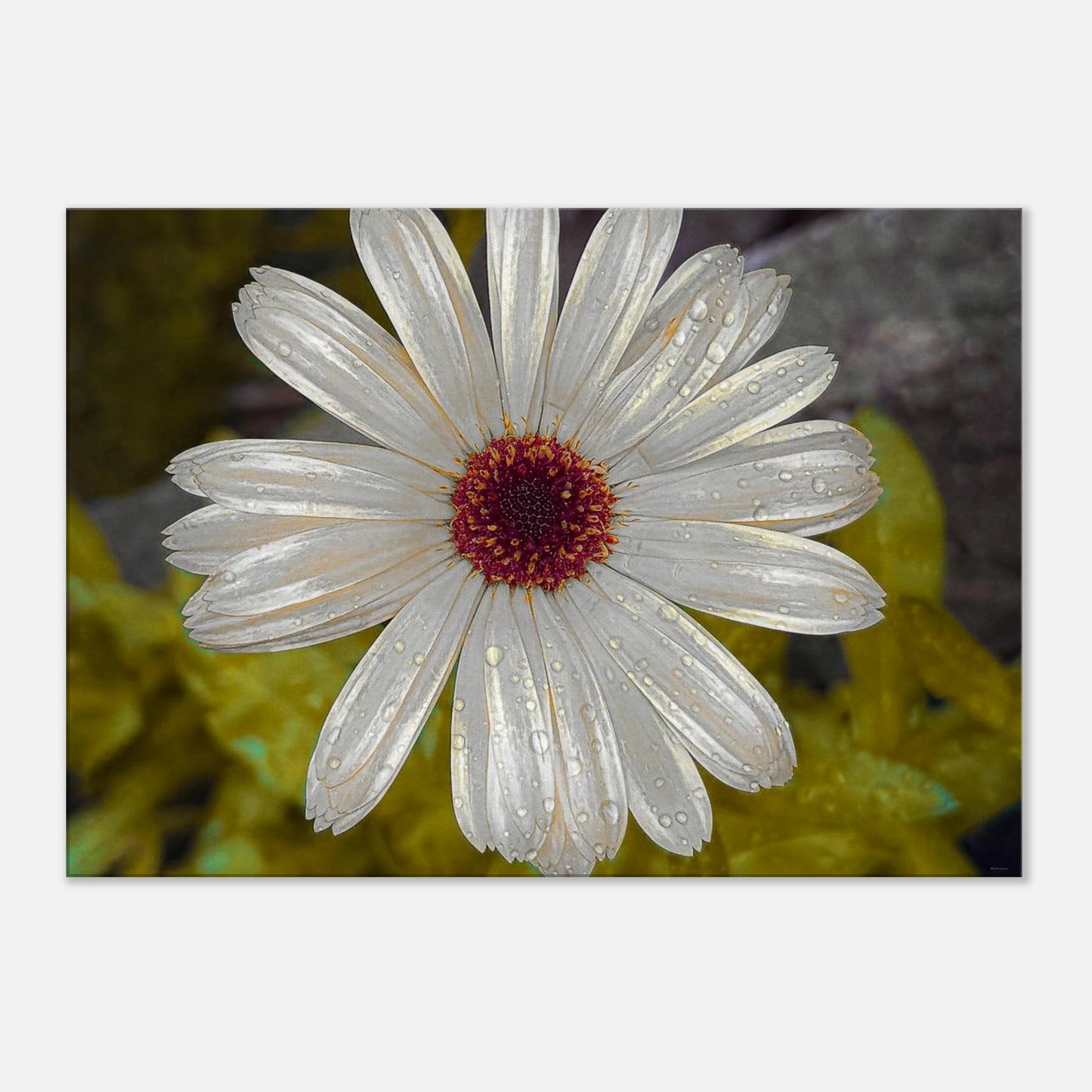 608471b3-078f-4701-956d-31391bcfa3a8