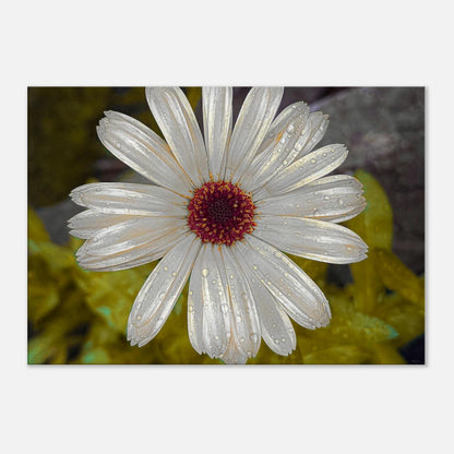 608471b3-078f-4701-956d-31391bcfa3a8