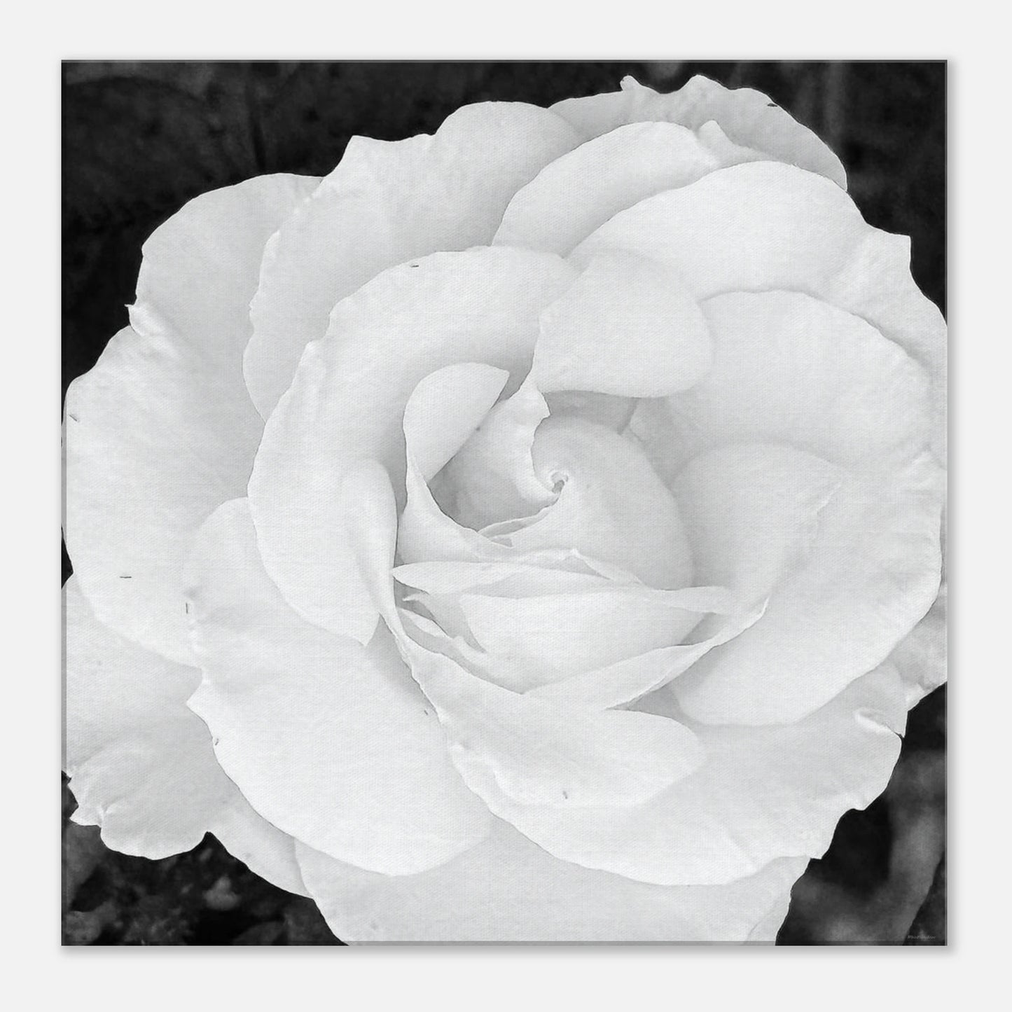 608acf42-fff0-4748-8ab8-1535bd039288