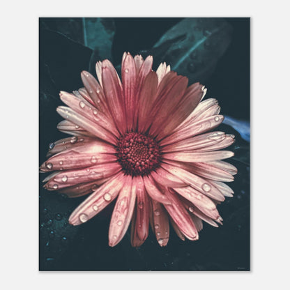 608c1402-a0ff-4ac0-8027-5b34ed640901