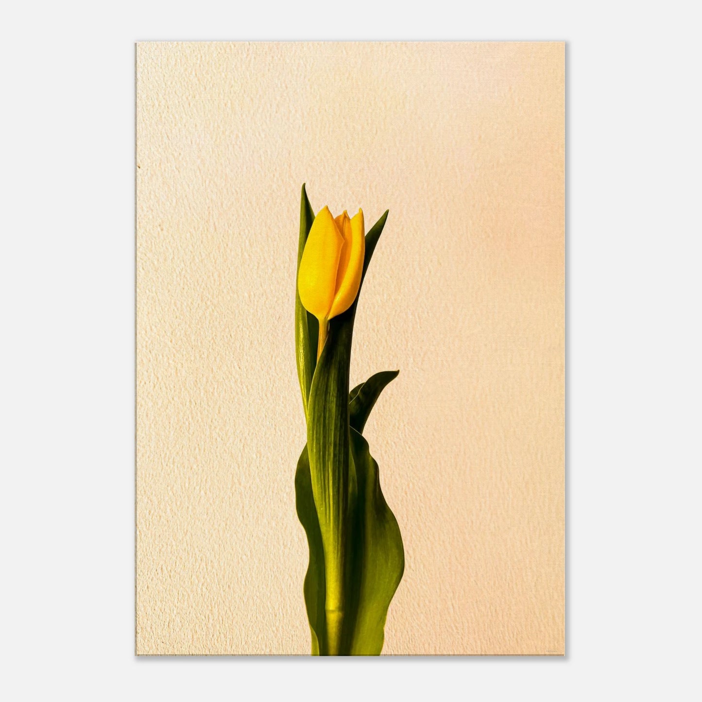 6098ebeb-3421-46b1-aa52-6ccaeab82c03