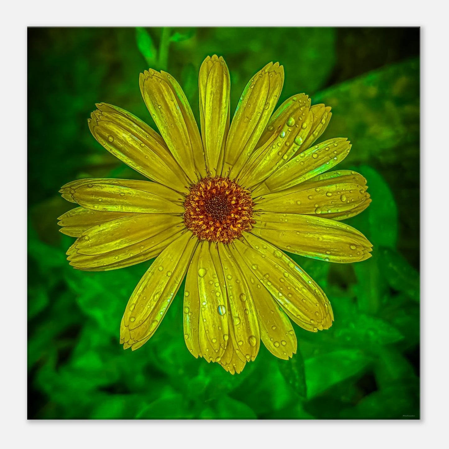 60ce7191-4f18-4ab2-8391-81ca56d89844