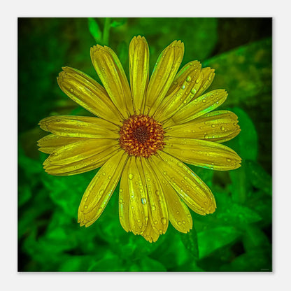 60ce7191-4f18-4ab2-8391-81ca56d89844