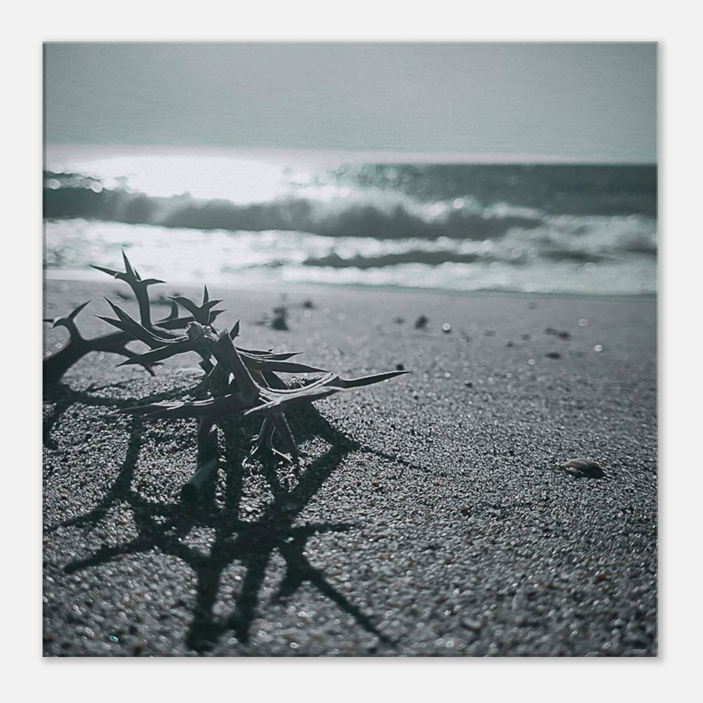 60ddbef8-bffb-4fe7-b169-8cb977cc029e