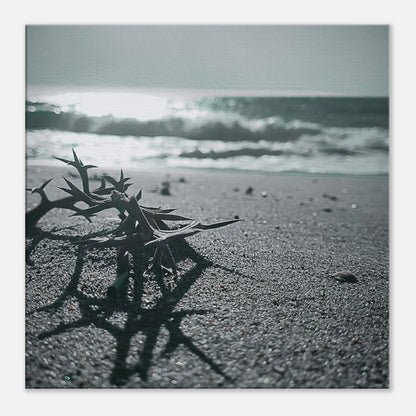 60ddbef8-bffb-4fe7-b169-8cb977cc029e