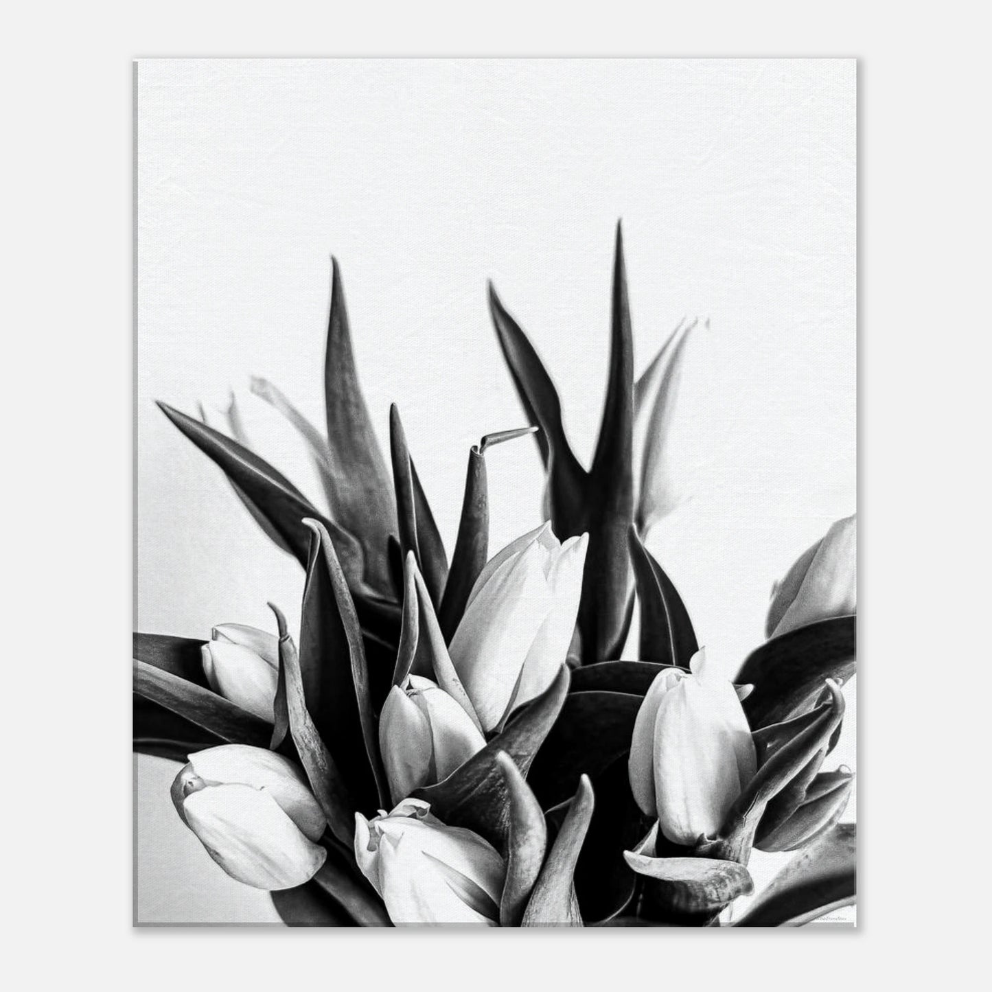 61563eb7-e775-4698-b925-f0b95c1ea569