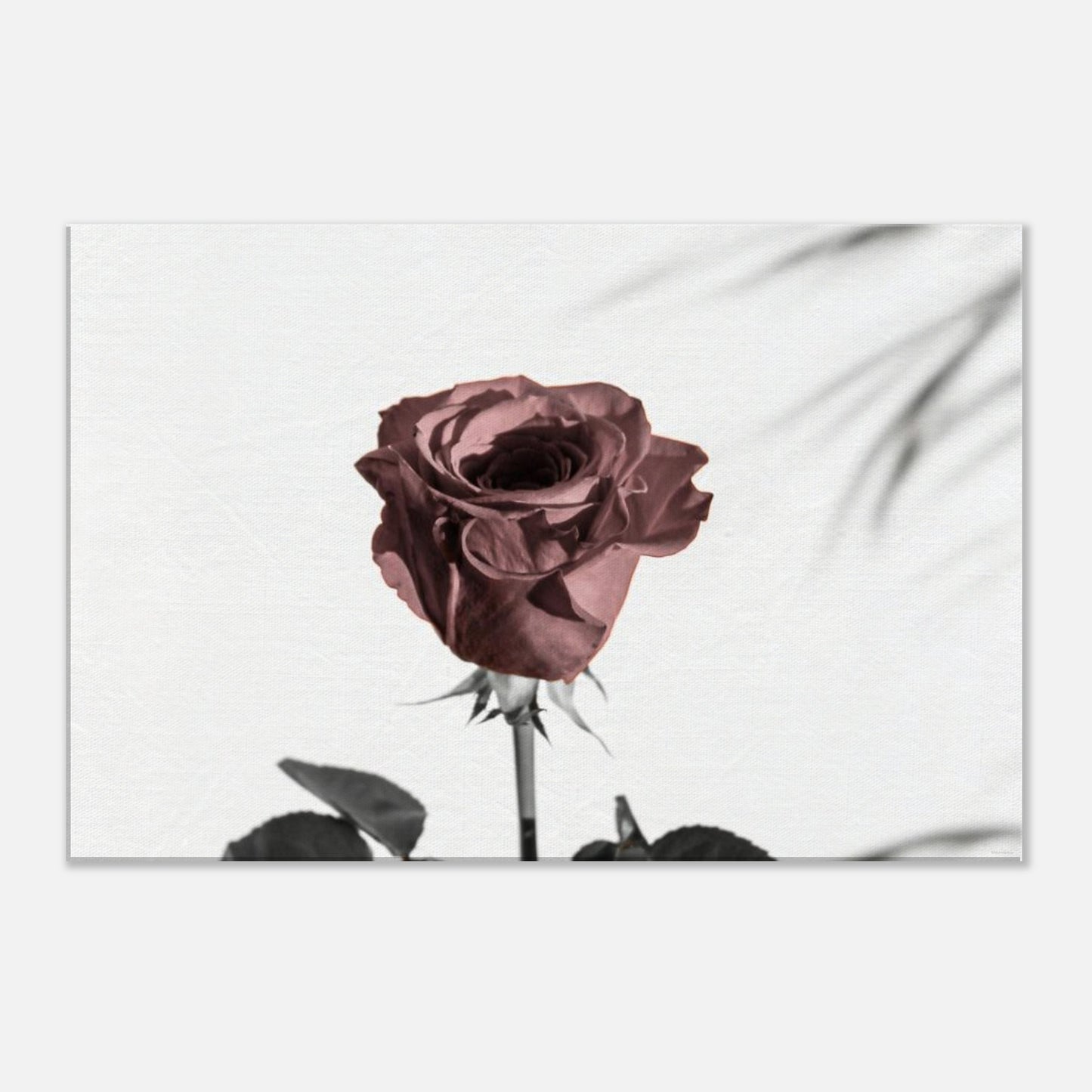 61708836-7cd4-4441-a9c0-067ecc733be5