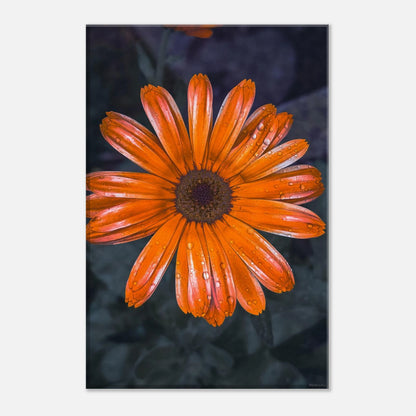 61b4e9a7-669a-4e2f-ba4b-e598fb2747f8