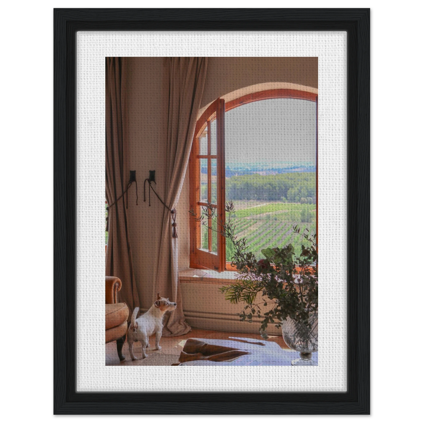 61f92d3c-3fb3-4905-8ec9-c4fad5a13603