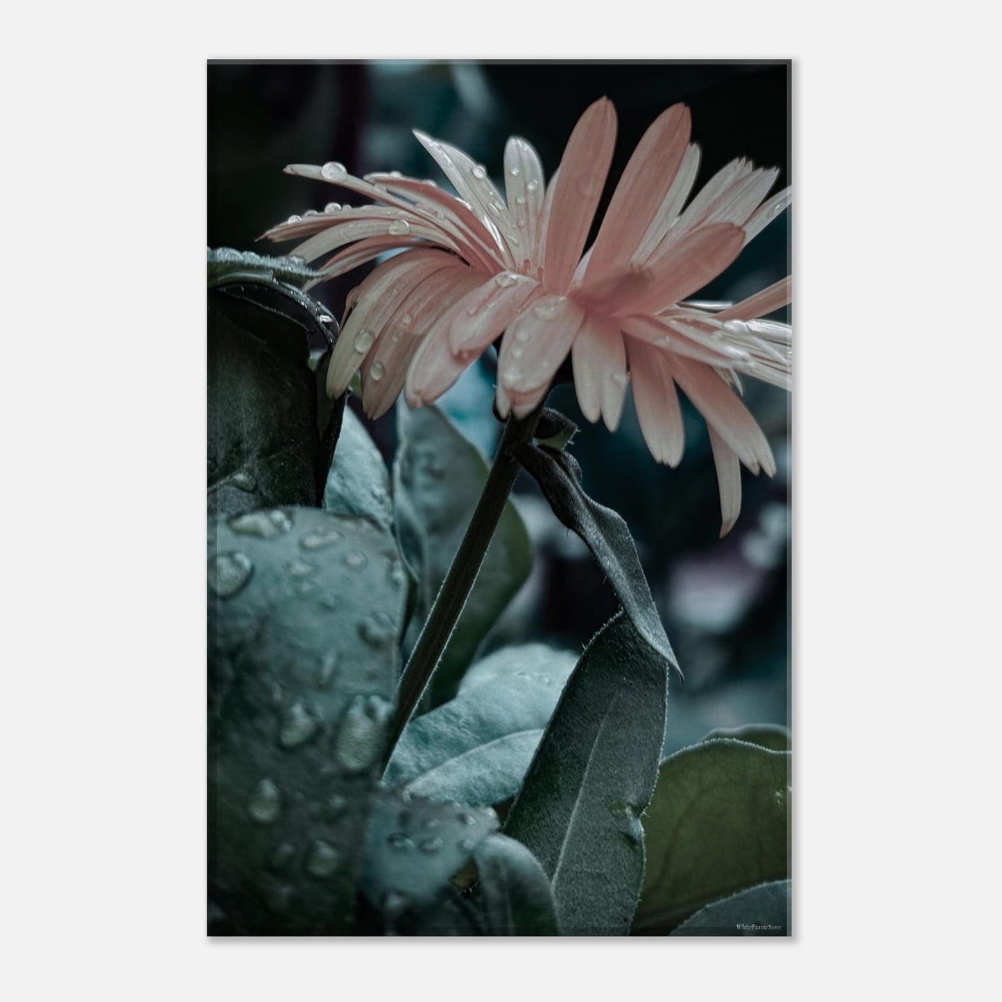 61f9d546-497d-4f89-b25a-8dea719f0ca6