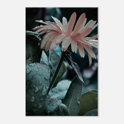 61f9d546-497d-4f89-b25a-8dea719f0ca6