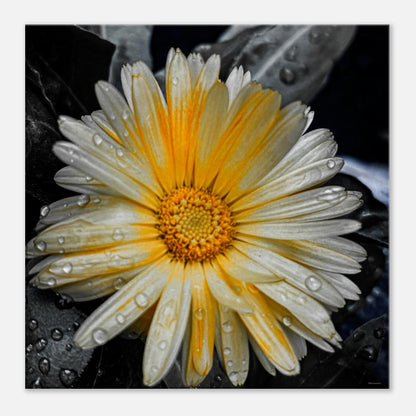 6217f916-7b8c-4340-9f05-7ba7f0a2d677