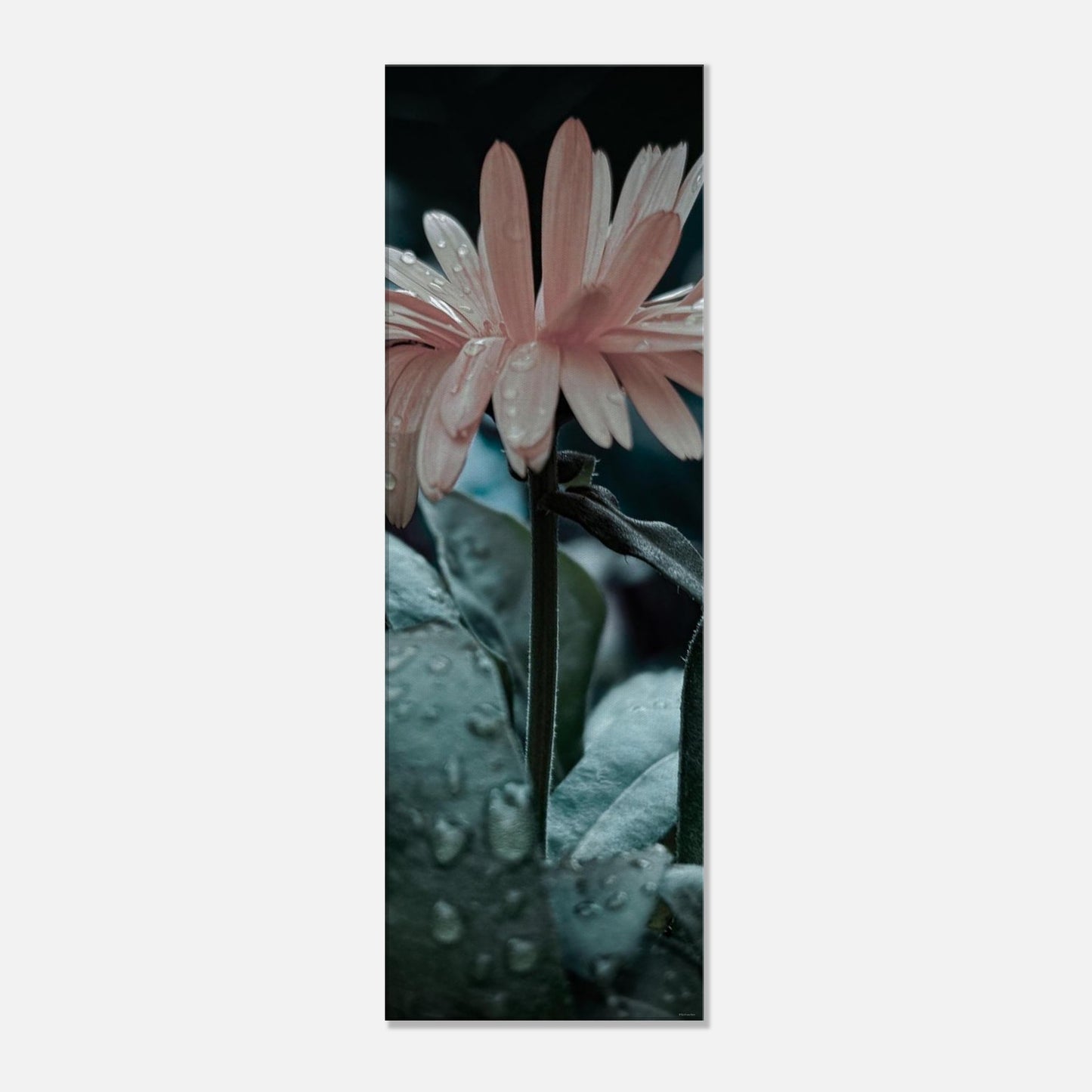 621a0451-7e01-4d93-b82b-a03d8e799247