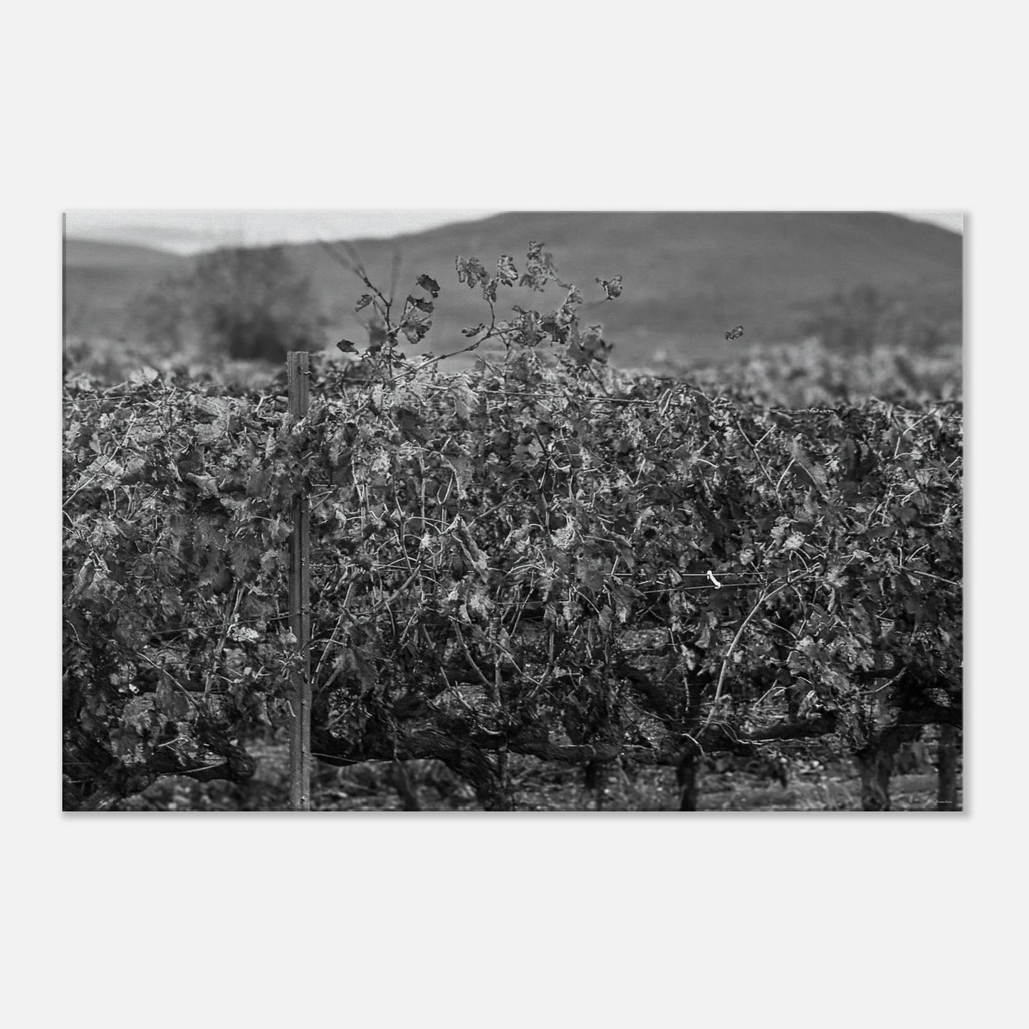 622410c7-394b-4ac2-a9da-83dd5c688ac4