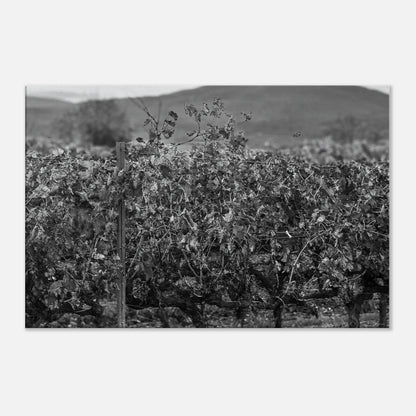 622410c7-394b-4ac2-a9da-83dd5c688ac4