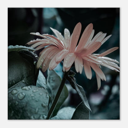 62736310-cfae-460e-9895-5873e0c4d472