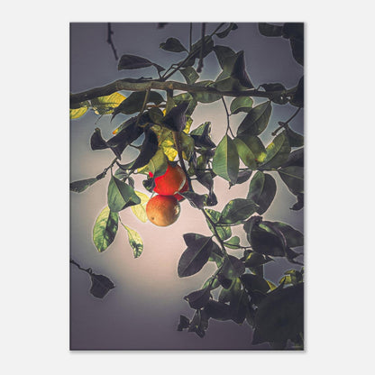 62762c13-e96f-421f-9e72-dc41b33fb346