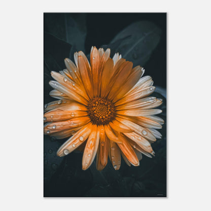 62878b6a-f862-4f95-a4bb-b96830c37f28